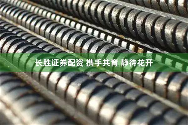 长胜证券配资 携手共育 静待花开