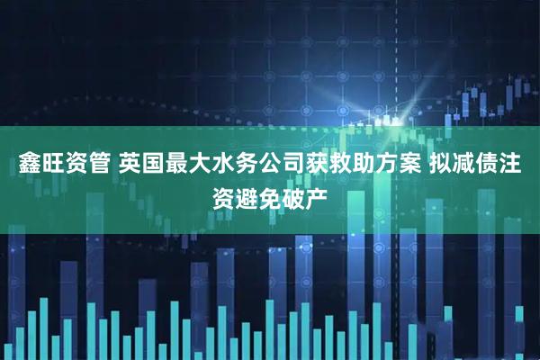鑫旺资管 英国最大水务公司获救助方案 拟减债注资避免破产
