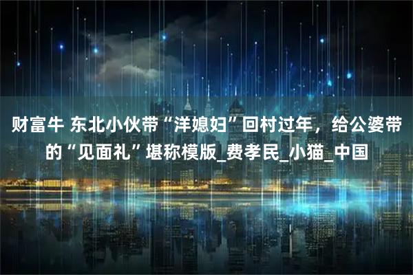 财富牛 东北小伙带“洋媳妇”回村过年，给公婆带的“见面礼”堪称模版_费孝民_小猫_中国